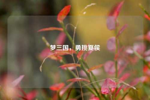 梦三国,勇挑夏侯惇