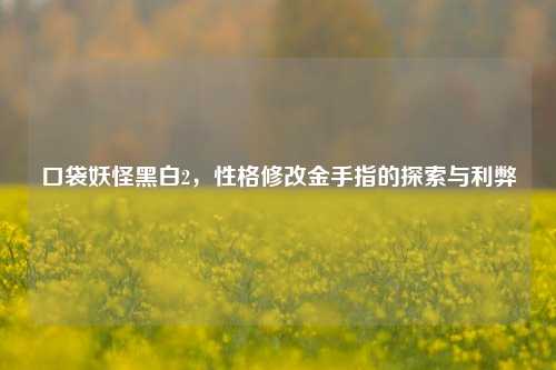 口袋妖怪黑白2,性格修改金手指的探索与利弊