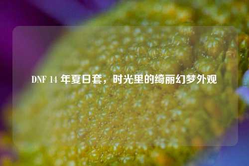 DNF 14 年夏日套,时光里的绮丽幻梦外观