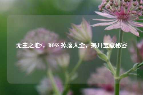 无主之地2,BOSS 掉落大全,揭开宝藏秘密