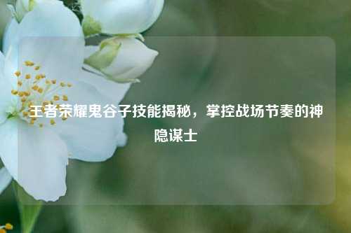 王者荣耀鬼谷子技能揭秘，掌控战场节奏的神隐谋士