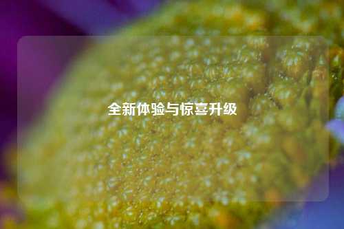 全新体验与惊喜升级