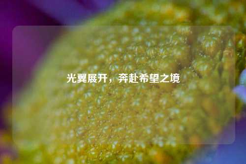 光翼展开，奔赴希望之境