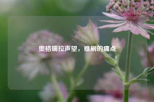 奥格瑞拉声望，难刷的痛点