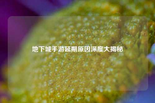 地下城手游延期原因深度大揭秘