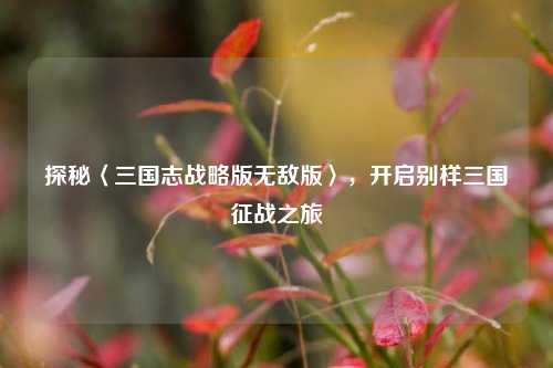 探秘〈三国志战略版无敌版〉，开启别样三国征战之旅