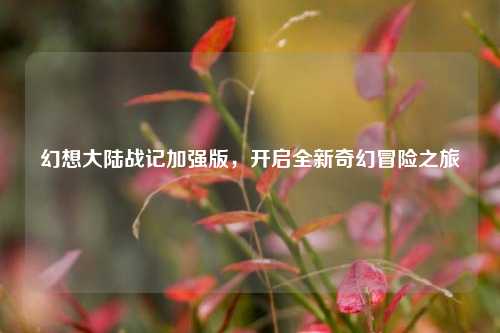 幻想大陆战记加强版，开启全新奇幻冒险之旅
