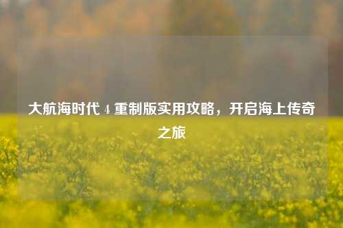 大航海时代 4 重制版实用攻略，开启海上传奇之旅