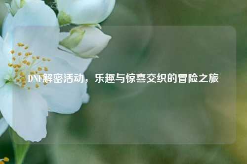 DNF解密活动,乐趣与惊喜交织的冒险之旅