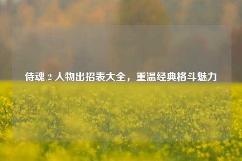 侍魂 2 人物出招表大全,重温经典格斗魅力