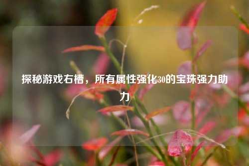 探秘游戏右槽，所有属性强化30的宝珠强力助力