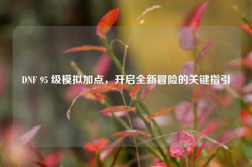 DNF 95 级模拟加点，开启全新冒险的关键指引