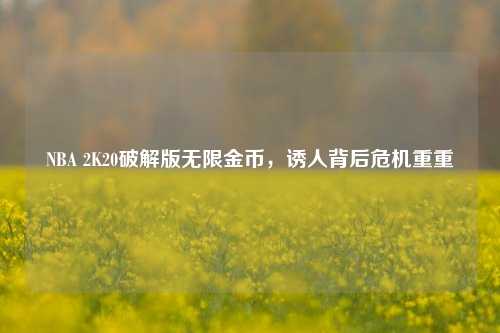 NBA 2K20破解版无限金币,诱人背后危机重重
