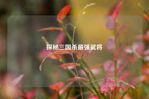 探秘三国杀最强武将