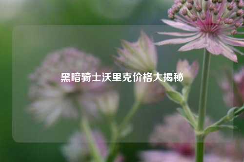 黑暗骑士沃里克价格大揭秘