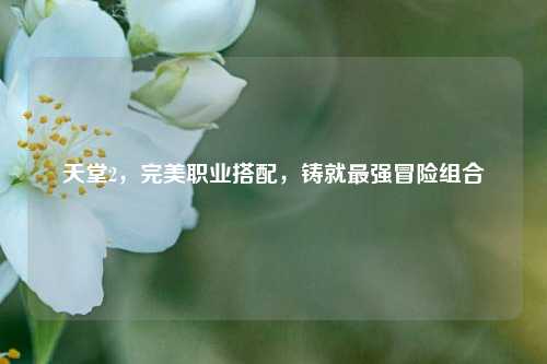 天堂2，完美职业搭配，铸就最强冒险组合