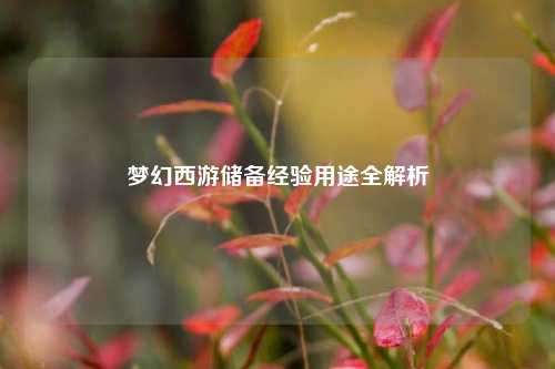 梦幻西游储备经验用途全解析