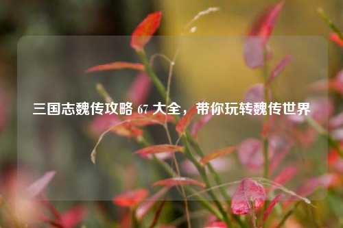三国志魏传攻略 67 大全，带你玩转魏传世界