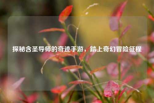 探秘含圣导师的奇迹手游，踏上奇幻冒险征程