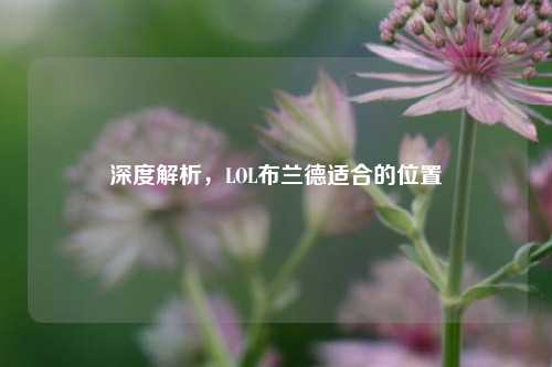 深度解析，LOL布兰德适合的位置