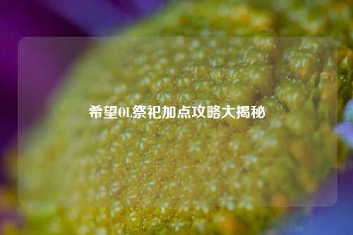 希望OL祭祀加点攻略大揭秘