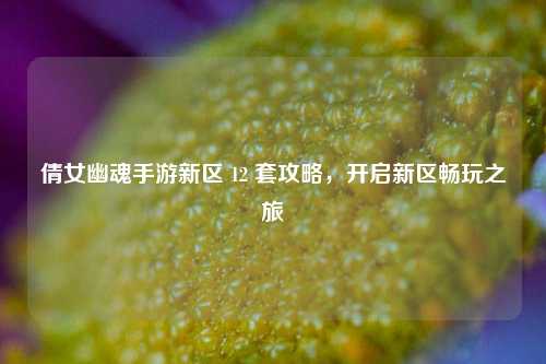 倩女幽魂手游新区 12 套攻略，开启新区畅玩之旅