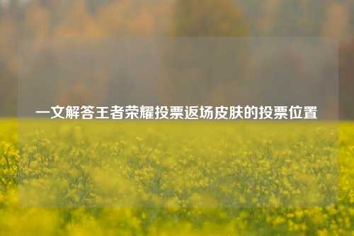 一文解答王者荣耀投票返场皮肤的投票位置