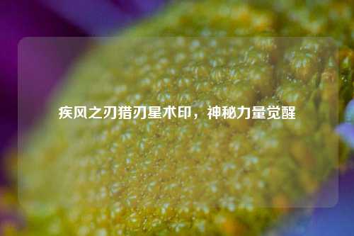 疾风之刃猎刃星术印，神秘力量觉醒